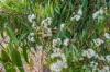 173 Kent Beach Road, Dover, Tas 7117-Image