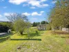 173 St Columba Falls Road, Pyengana, Tas 7216-Image