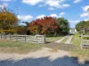 173 St Columba Falls Road, Pyengana, Tas 7216-Image