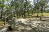 173 Thistlethwaites, Briagolong, Vic 3860-Image