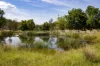 173 Thistlethwaites, Briagolong, Vic 3860-Image
