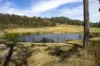 173 Thistlethwaites, Briagolong, Vic 3860-Image