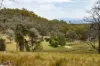 173 Thistlethwaites, Briagolong, Vic 3860-Image