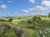 1737 Loch-Wonthaggi Rd, Ryanston, Vic 3992-Image