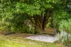 174 Carey Gully Road, Mount George, SA 5155-Image