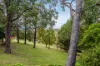 174 Carey Gully Road, Mount George, SA 5155-Image