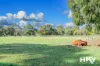 174 Coventry Crossing, Bullsbrook, WA 6084-Image