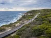 174 Gale Road, Maroubra, NSW 2035-Image