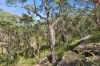 174 Mountain Lagoon Road, Bilpin NSW 2758-Image