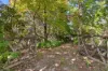 174 Mountain Lagoon Road, Bilpin NSW 2758-Image