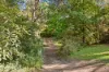 174 Mountain Lagoon Road, Bilpin NSW 2758-Image