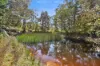 174 Mountain Lagoon Road, Bilpin NSW 2758-Image