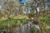 174 Mountain Lagoon Road, Bilpin NSW 2758-Image