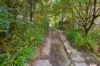 174 Mountain Lagoon Road, Bilpin NSW 2758-Image