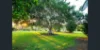 174 O'Rourkes Road, Traveston, Qld 4570-Image