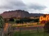 174 Staverton Road, Roland, Tas 7306-Image