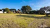 174 Tam O'shanter Road, Lulworth, Tas 7252-Image