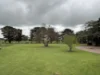 174 Woorndoo-Darlington Road, Woorndoo, Vic 3272-Image