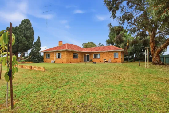 17404 Sturt Highway, Barmera SA 5345-Image