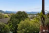 175 Byangum Road, Murwillumbah, NSW 2484-Image
