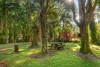 175 Coolamon Scenic Drive, Coorabell, NSW 2479-Image