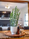 175 Cuprona Road, Heybridge, Tas 7316-Image