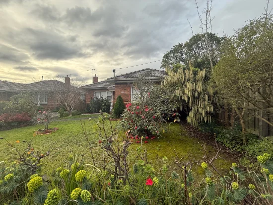 175 Darebin Road, Thornbury, Vic 3071