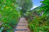 175 Jensen Street, Whitfield, Qld 4870-Image