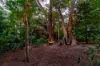 175 Jensen Street, Whitfield, Qld 4870-Image