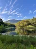175 Midginbil, Murwillumbah, NSW 2484