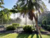 175 Midginbil, Murwillumbah, NSW 2484-Image
