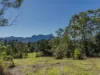 175 Midginbil, Murwillumbah, NSW 2484-Image