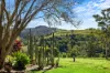 175 Oakey Creek Road, Georgica, NSW 2480-Image