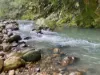 1755 Tallebudgera Creek Road, Tallebudgera Valley, Qld 4228-Image