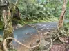 1755 Tallebudgera Creek Road, Tallebudgera Valley, Qld 4228-Image