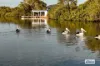 176 Ashby Island Road, Ashby Island, NSW 2463-Image