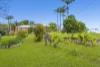 176 Duranbah Road, Duranbah, NSW 2487-Image