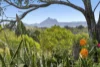 176 Duranbah Road, Duranbah, NSW 2487-Image