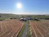 176 Grace Road, Leasingham, SA 5452-Image