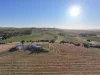 176 Grace Road, Leasingham, SA 5452-Image