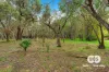 176 Ramsay Road, Stratham, WA 6237-Image