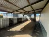 1767 The Esplanade, Middle Beach SA 5501-Image