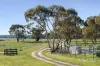 1769 Creswick Newstead Road, Campbelltown, Vic 3364-Image