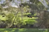 1769 Creswick Newstead Road, Campbelltown, Vic 3364-Image