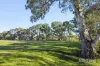 1769 Creswick Newstead Road, Campbelltown, Vic 3364-Image