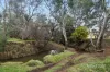 1769 Creswick Newstead Road, Campbelltown, Vic 3364-Image