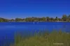 176A Cobb Street, Doubleview, WA 6018-Image