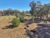 177 Camp Road, Cowra, NSW 2794