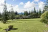 177 Cascade Road, Norfolk Island, NSW 2899-Image
