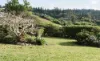 177 Cascade Road, Norfolk Island, NSW 2899-Image